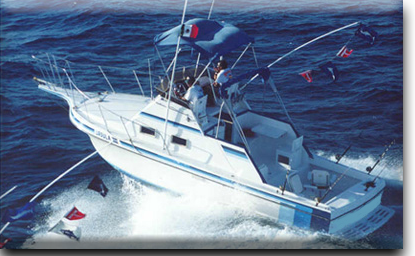 Ursula III Ursula´s Fishing Fleet Cabo San Lucas